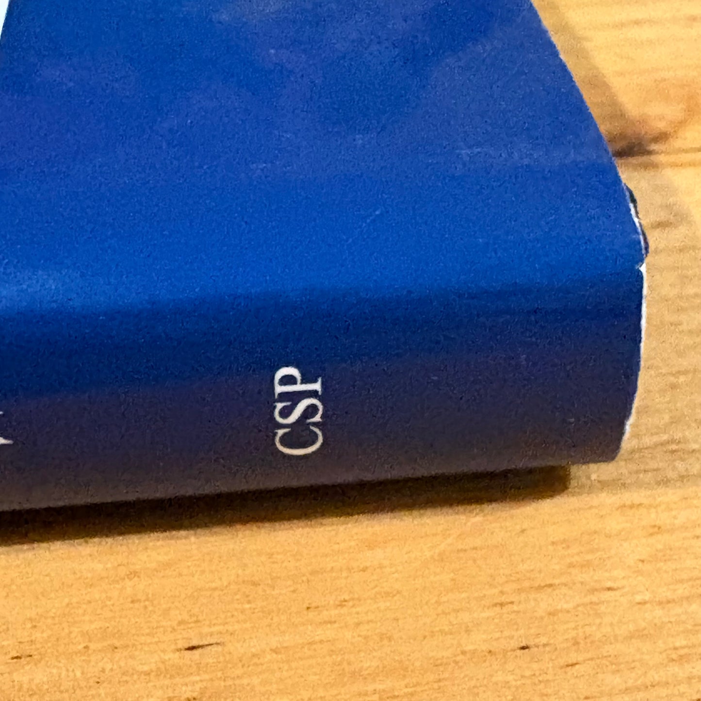 The Arts and Youth At Risk Global and Local Challenges Hardcover 2008 GD