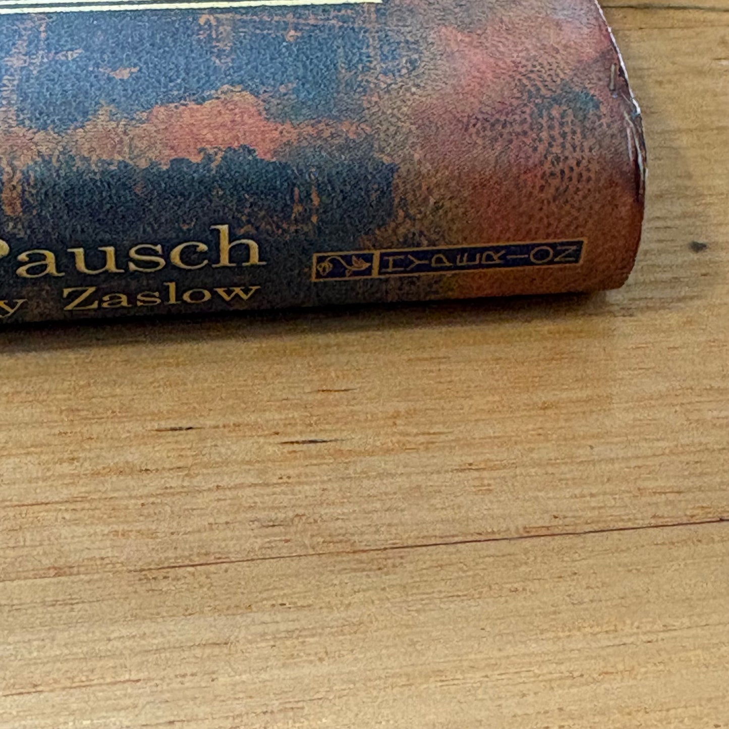 The Last Lecture by Randy Pausch Hardcover 2008 VGC