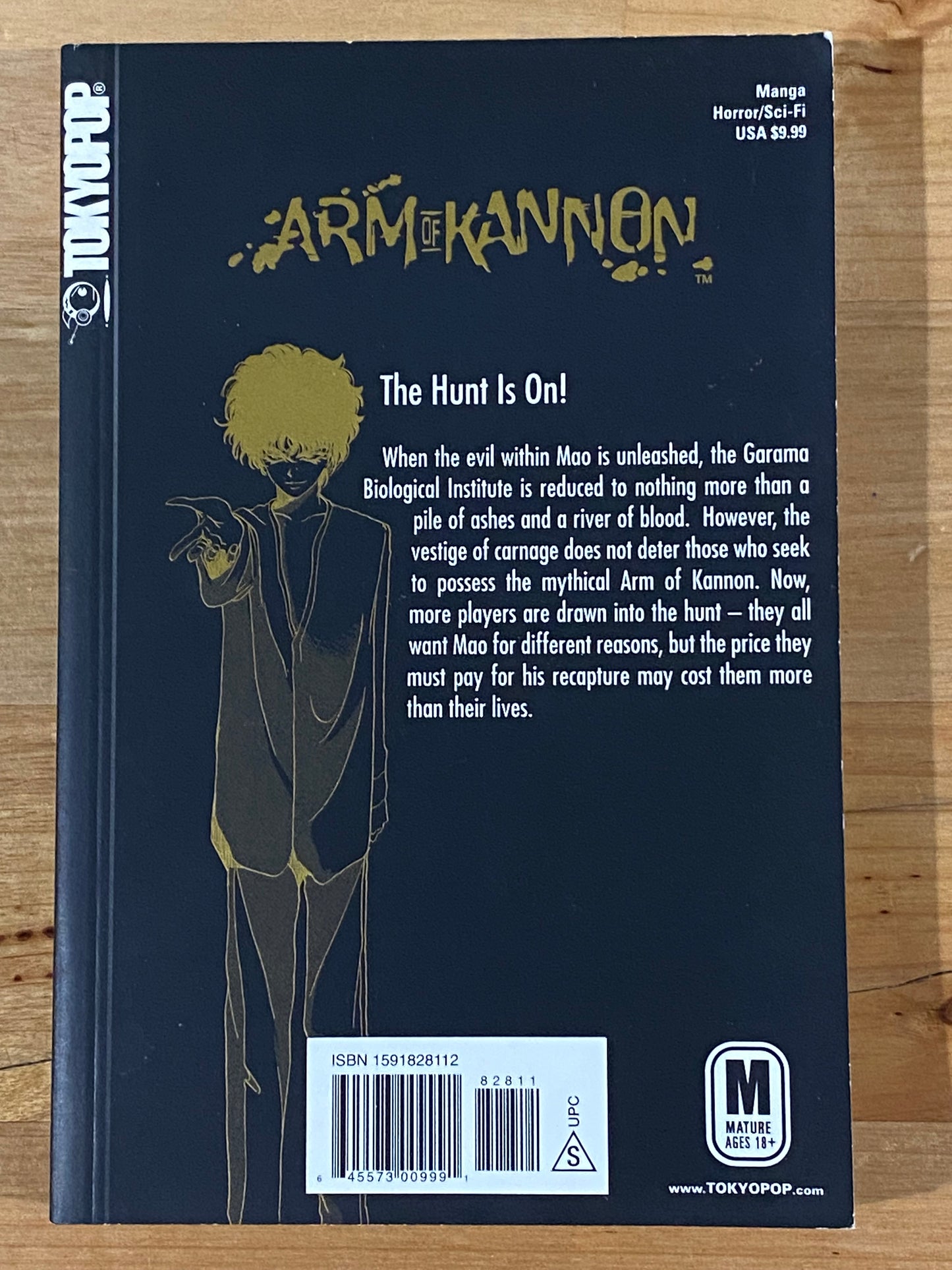Arm of Kannon Volume 2 & 3 by Masakuzu Yamaguchi Tokyopop GD