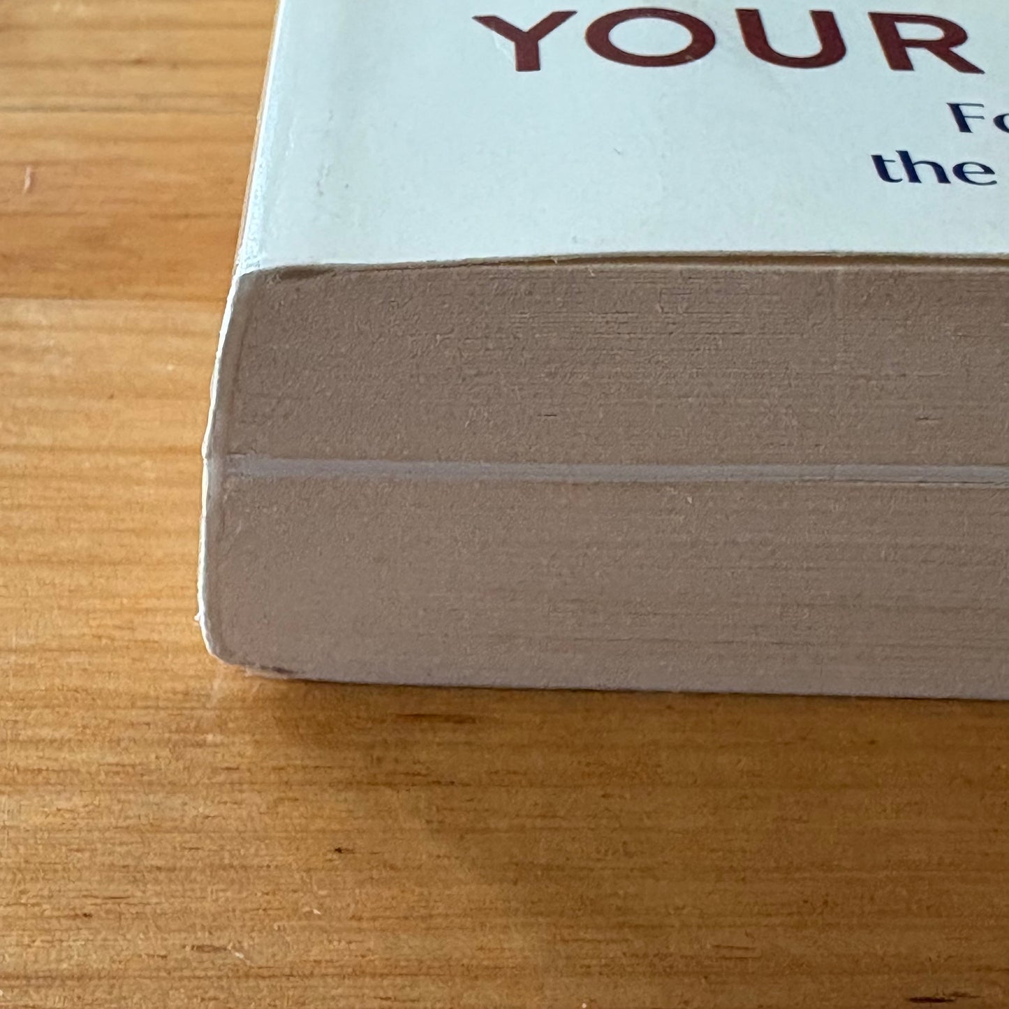 Your Time Starts Now by Julie Goodwin Biography Paperback 2024 GD