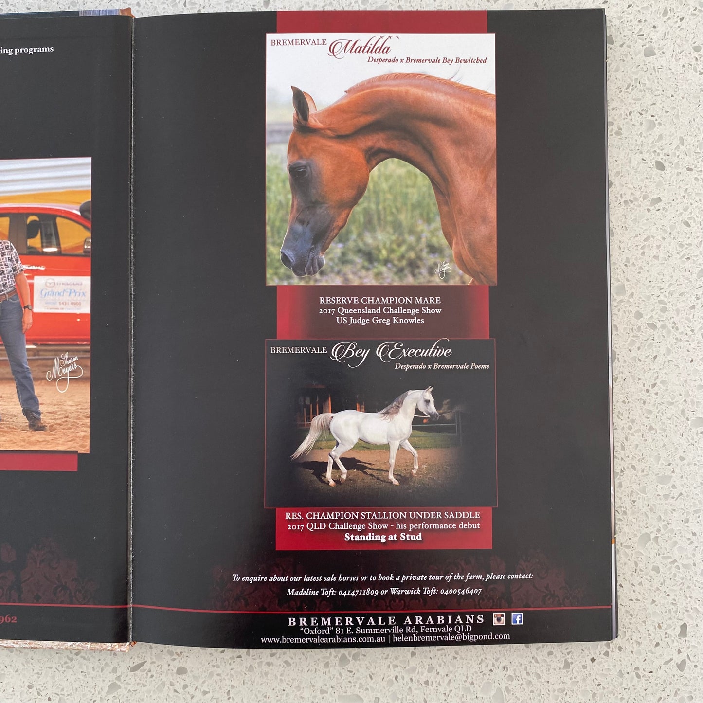 Arabian Studs and Stallions Annual 2018 Hardcover GD