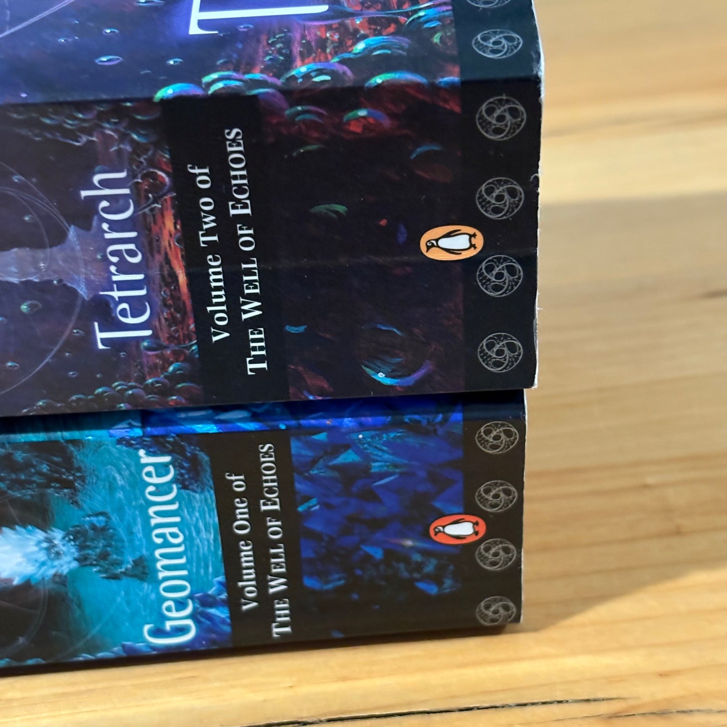 Ian Irvine The Well of Echoes 1-4 Complete Set Fantasy Paperback GD