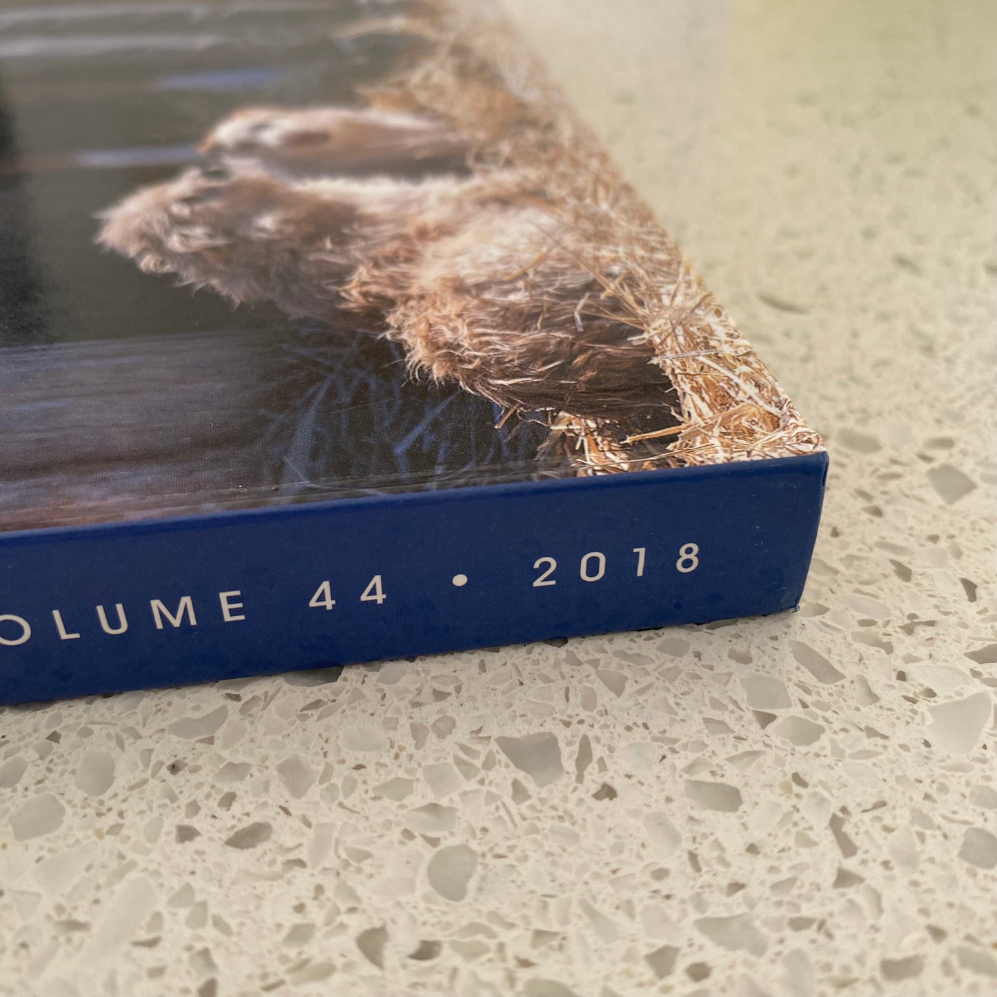 Arabian Studs and Stallions Annual 2018 Hardcover GD