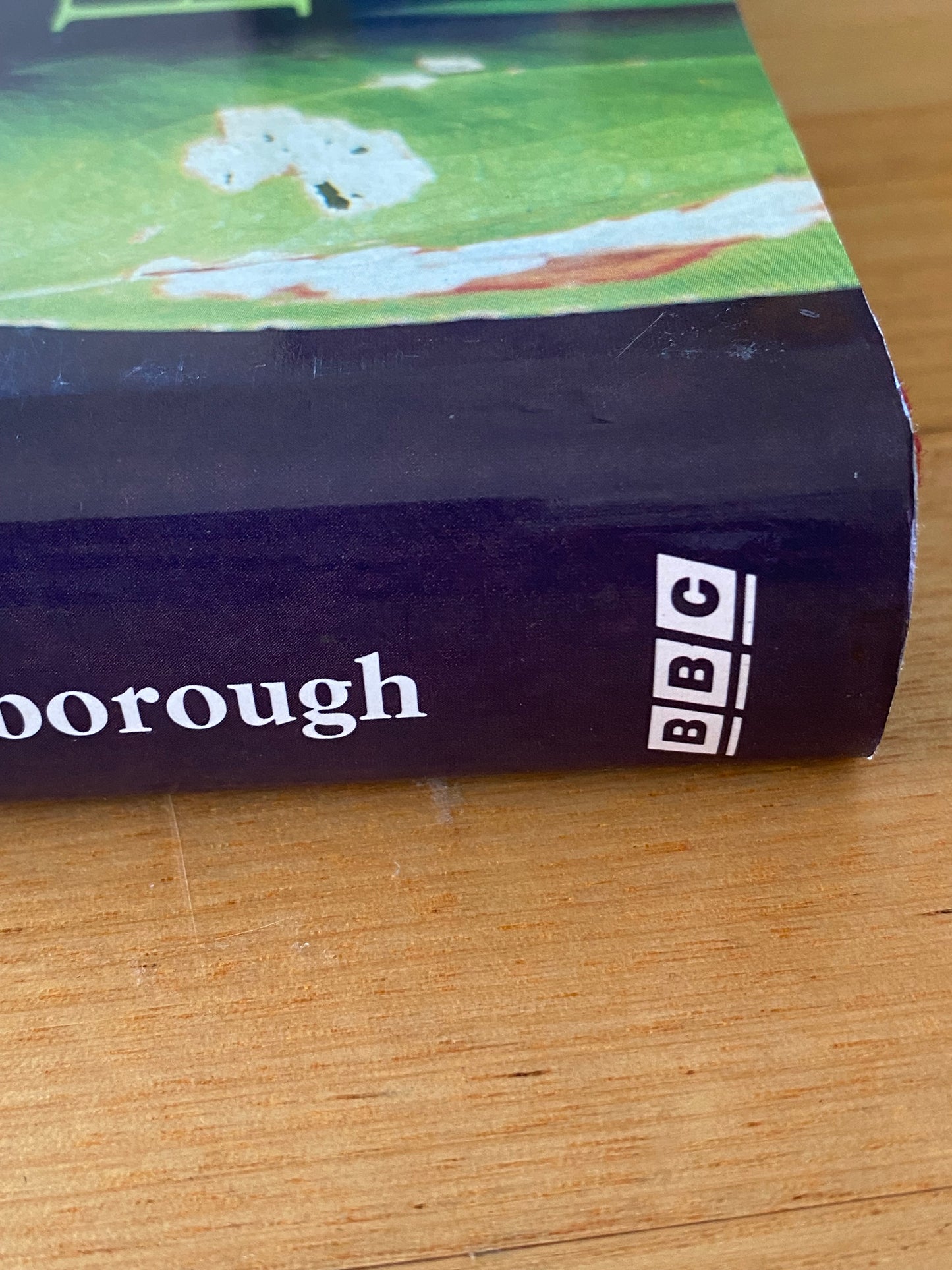 David Attenborough The Private Life Of Plants Hardcover 1995 GD