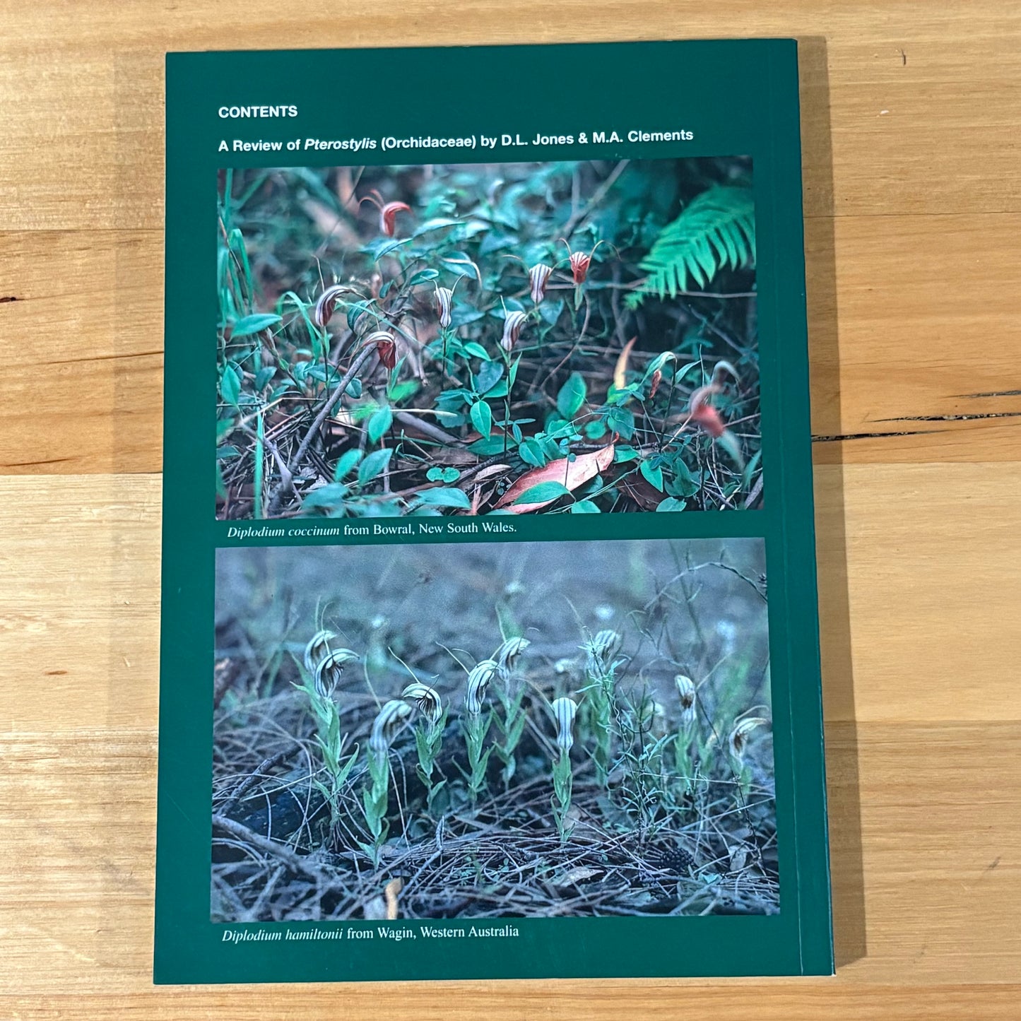 Australian Orchid Research Volume 4 Paperback Australian Orchid Foundation 2002 GD