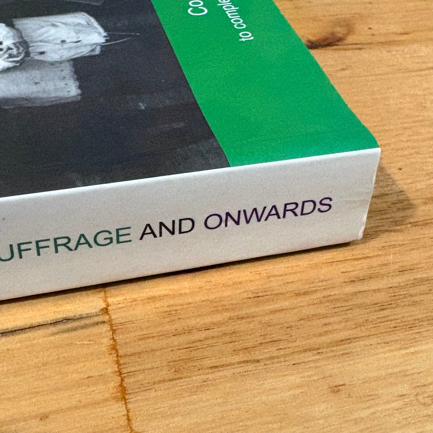 Women Working Together Suffrage And Onwards Geraldine Robertson Paperback