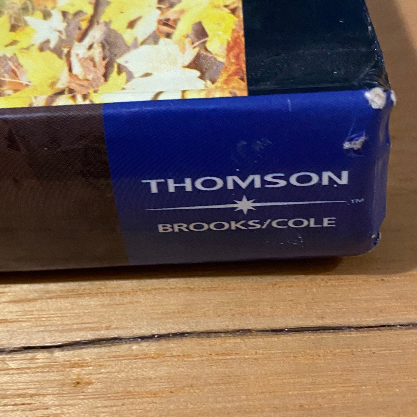 Theory & Practice of Counseling & Psychotherapy 6th Edition by Gerald Corey Hardcover