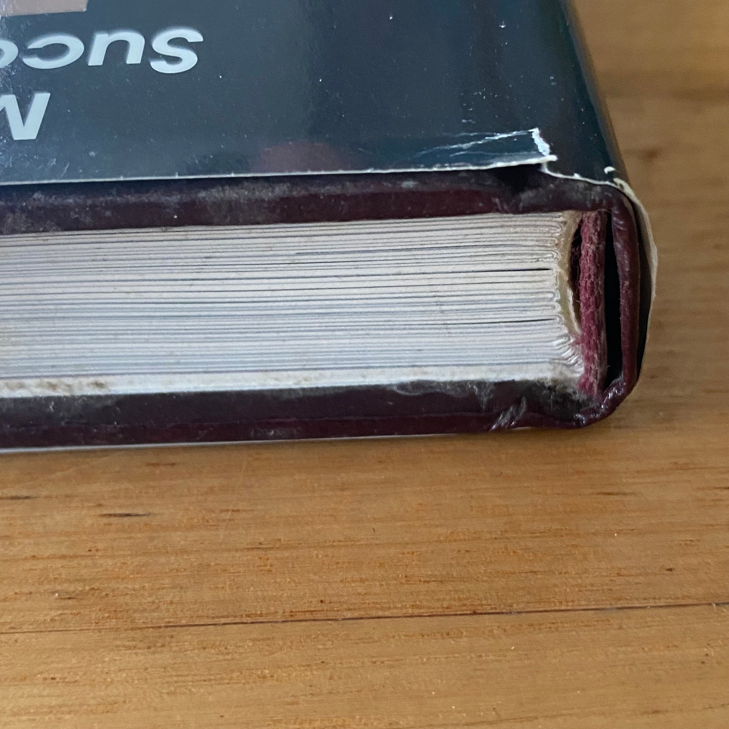 The Edge by Howard E.Ferguson Hardcover 1991 GD