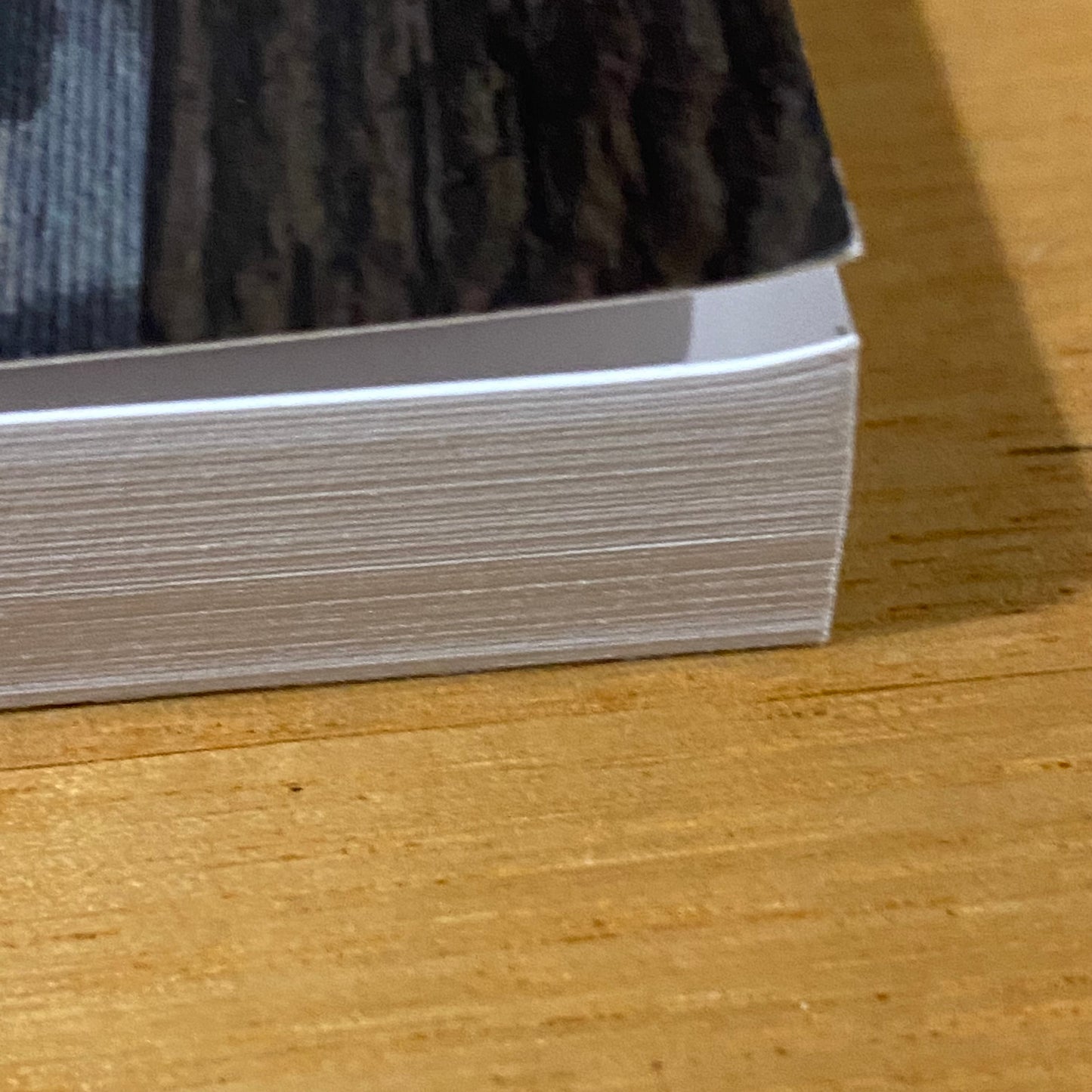 Saint Magnus The Last Viking by Susan Peek Paperback 2015 GD