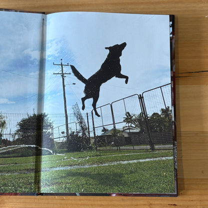 A Girl's Best Friend by David Darcy Hardcover GD