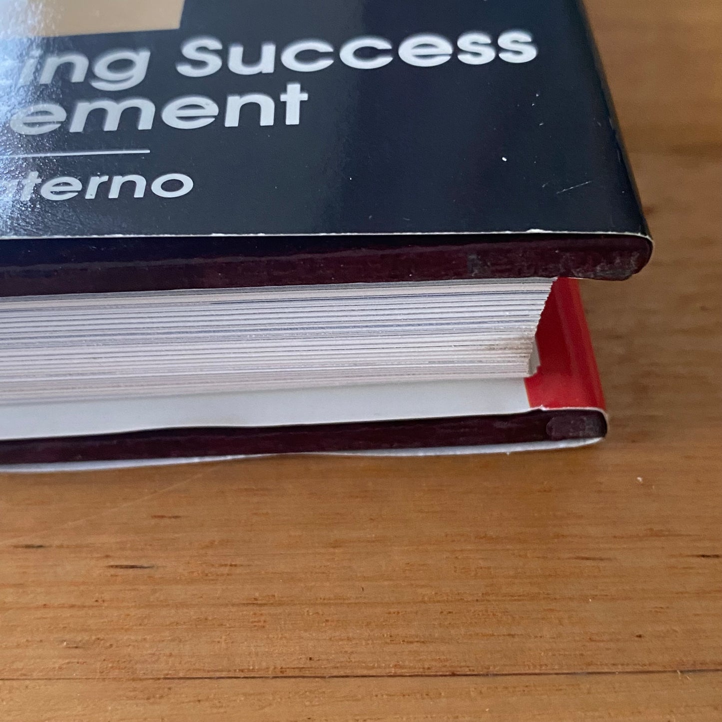 The Edge by Howard E.Ferguson Hardcover 1991 GD