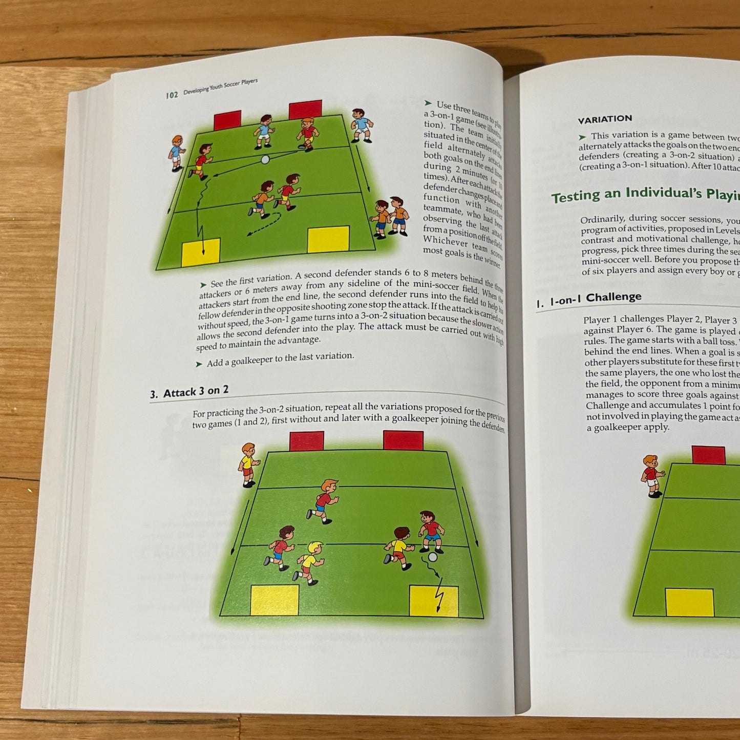 Developing Youth Soccer Players by Horst Wein Paperback GD