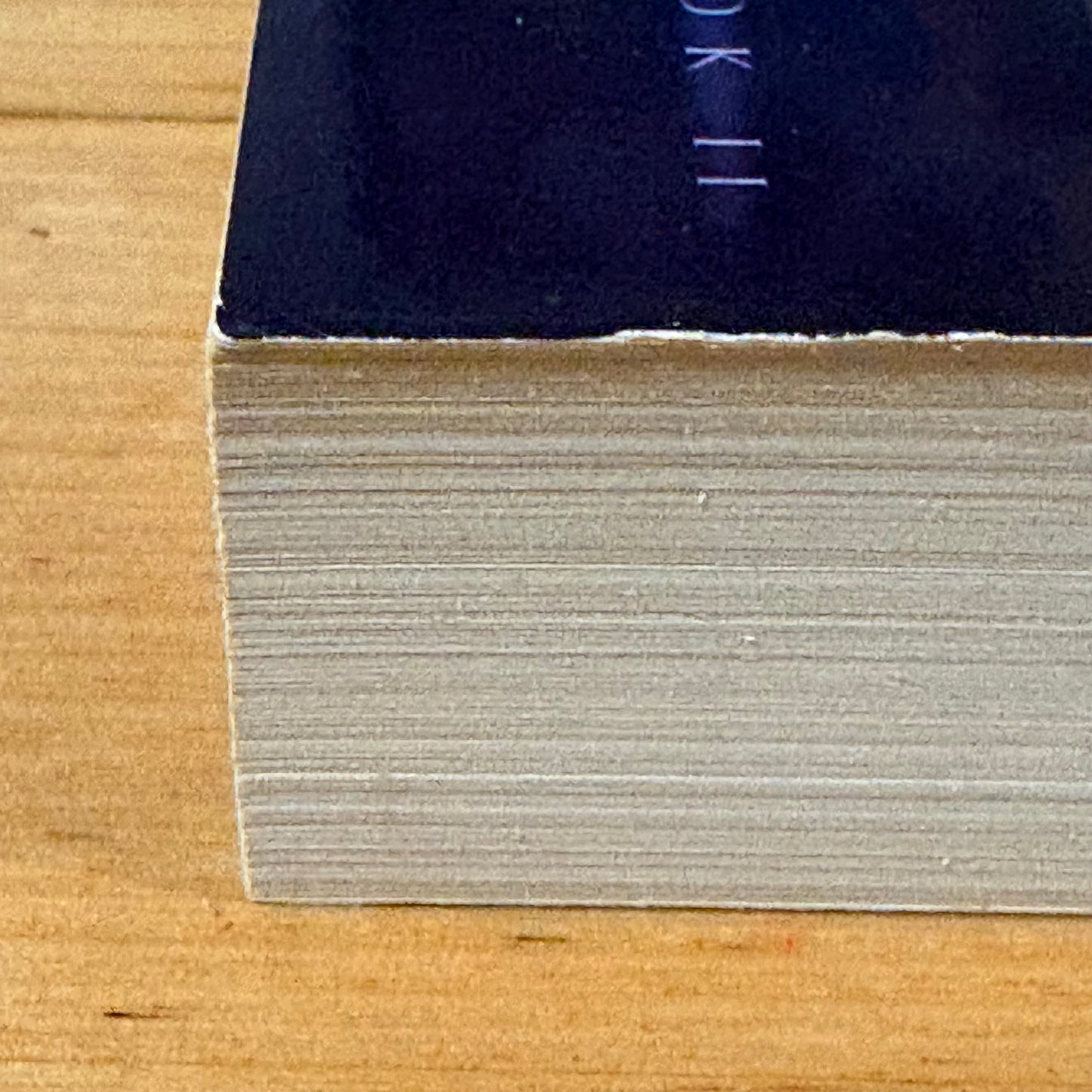 Promise Of The Witch King R.A. Salvatore Forgotten Realms Paperback 2006 GD