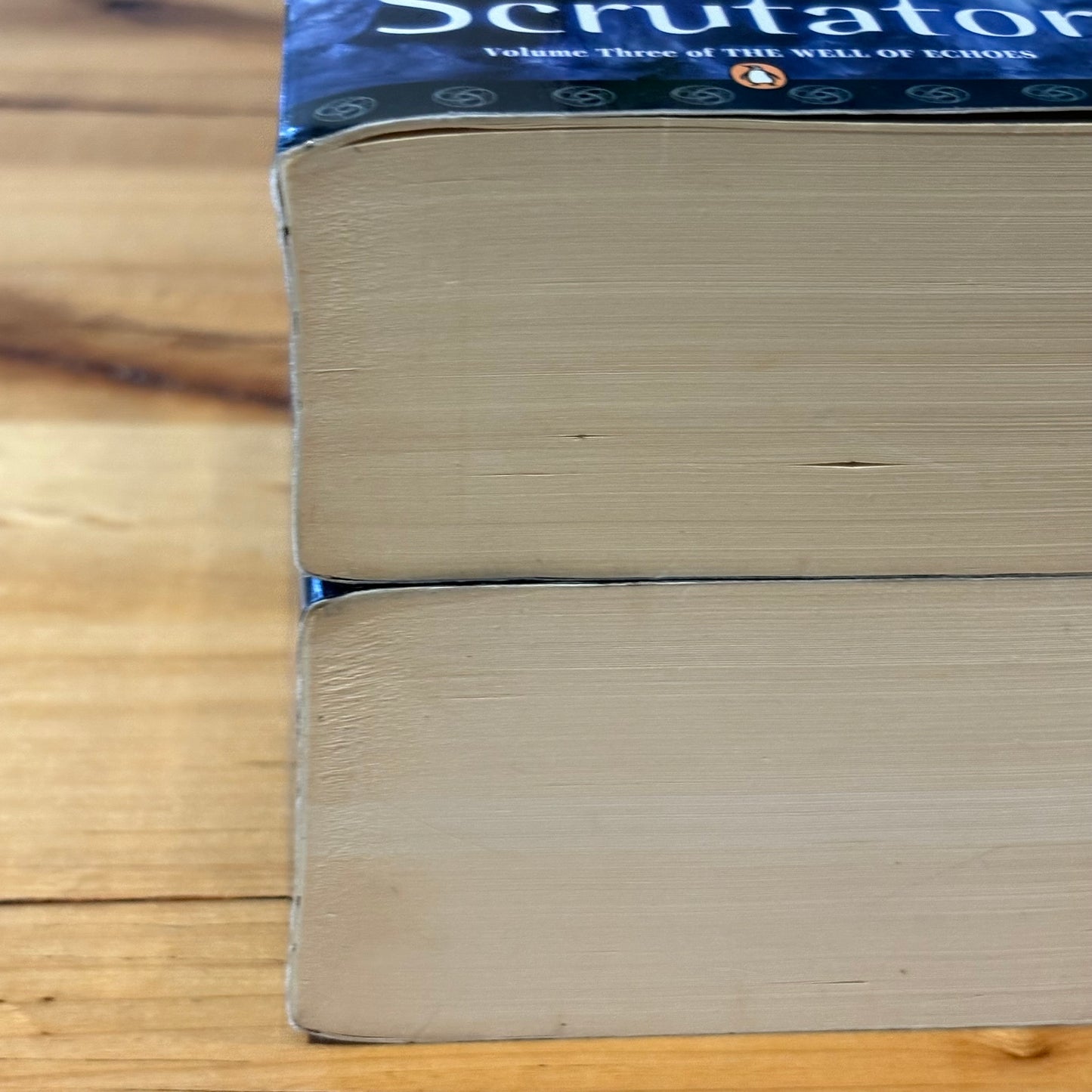 Ian Irvine The Well of Echoes 1-4 Complete Set Fantasy Paperback GD