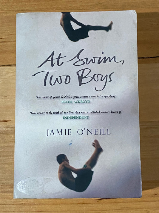 At Swim, Two Boys by Jamie O'Neill Paperback 2001 GD