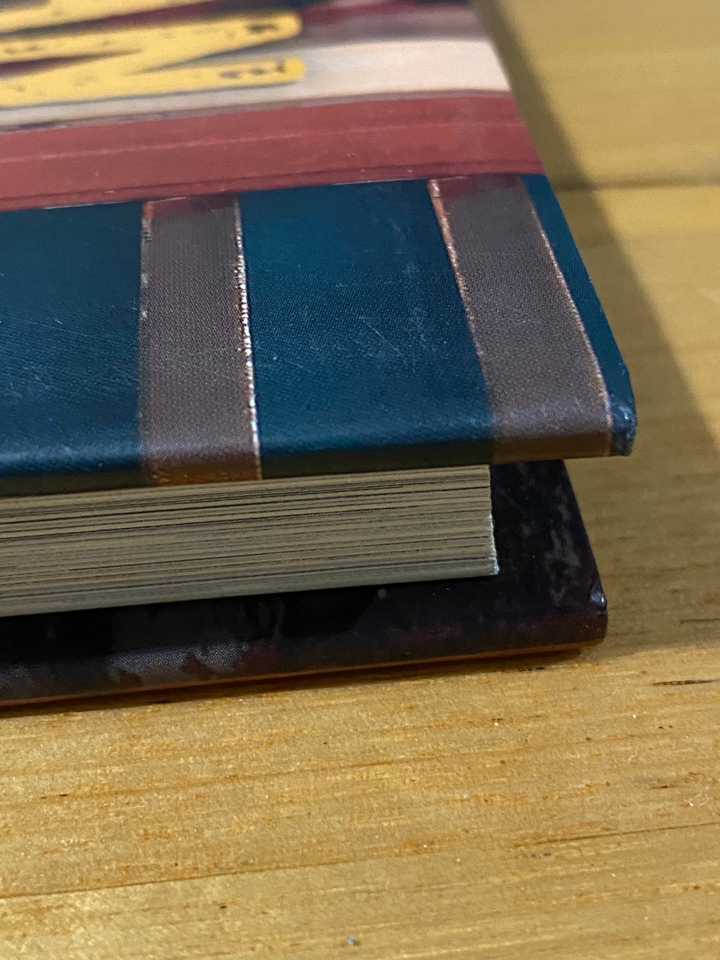 Every Man And His Dog by David Darcy Hardcover 2013 GD