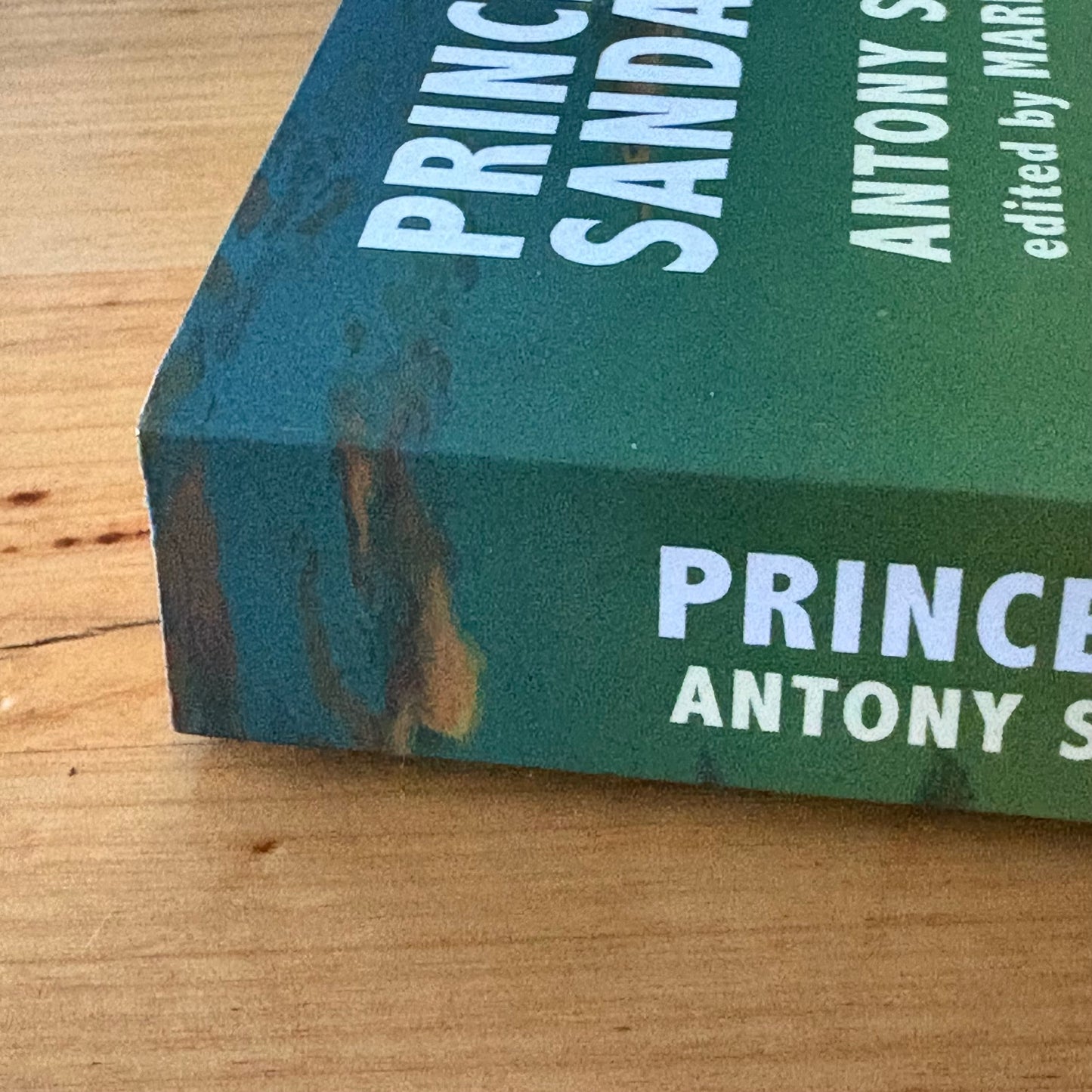 Princes of Sandastre by Anthony Swithin Fantasy Paperback 2020 VG