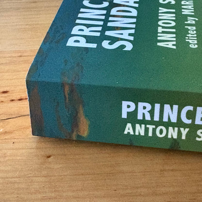 Princes of Sandastre by Anthony Swithin Fantasy Paperback 2020 VG