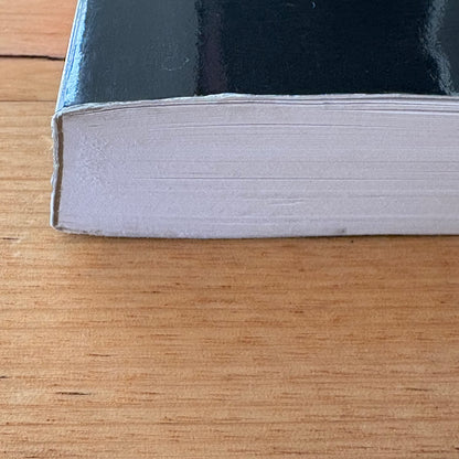 Flashing Steel Mastering Eishin-Ryu Swordmanship 2nd Edition Paperback VGC