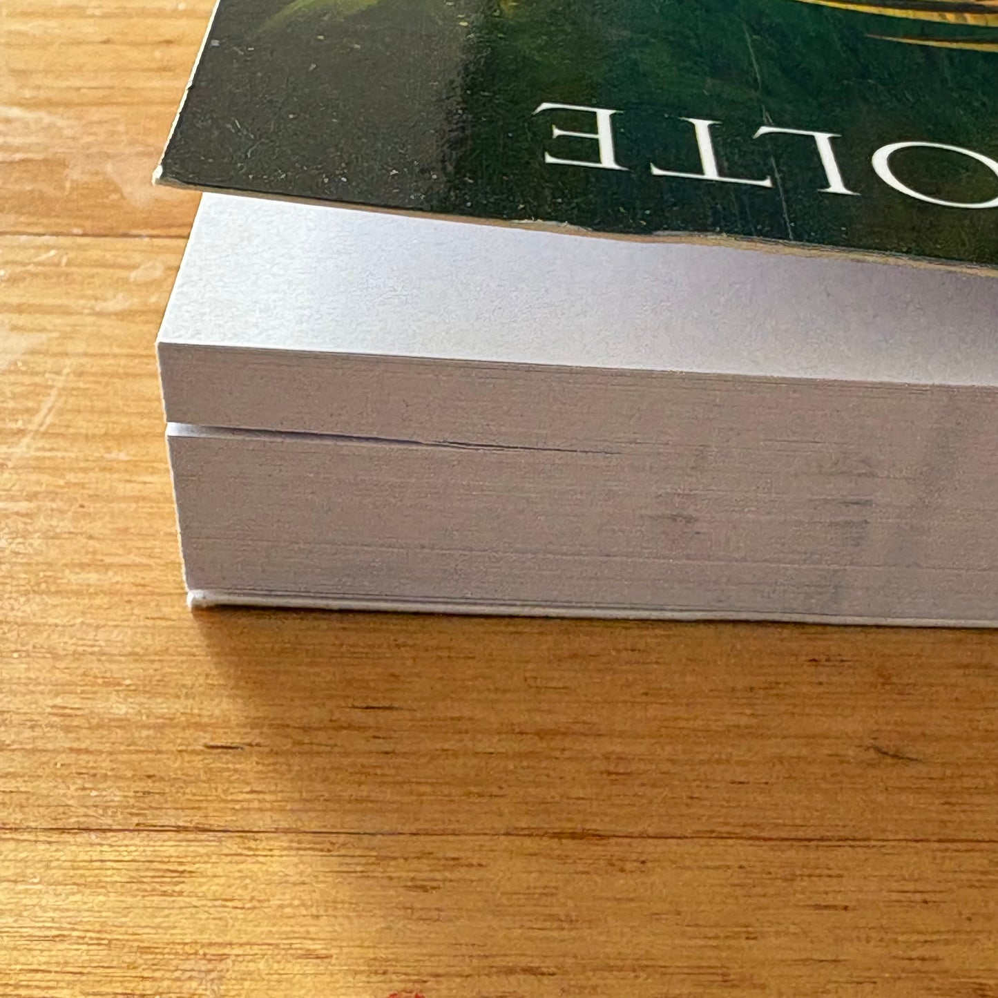 The Beginning Of The End Adam J. Scholte Fantasy Paperback 2022 GD