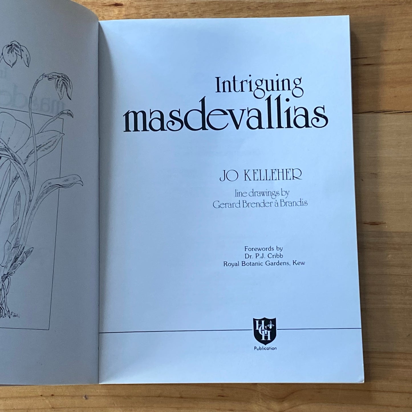 Intriguing Masdevallias Cool Growing Orchids by Jo Kelleher Paperback 1984 GD