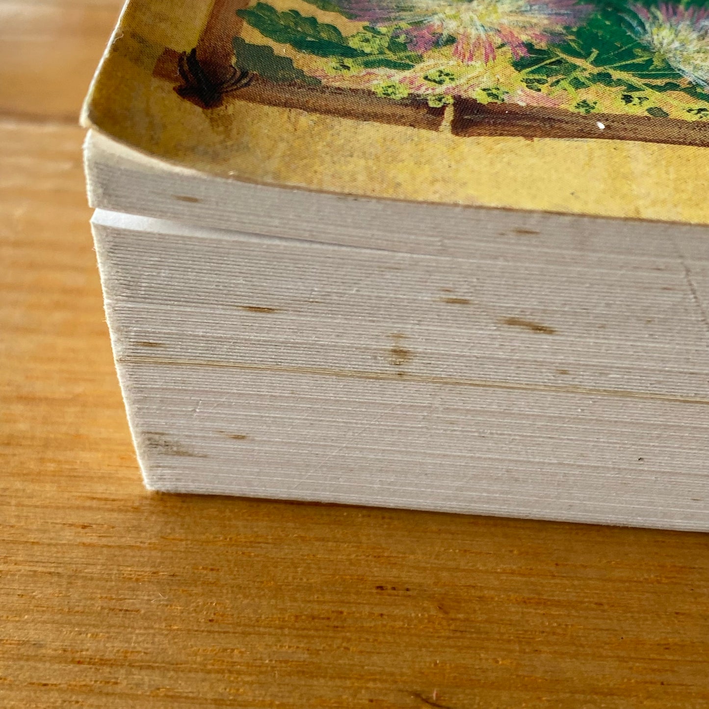 Herbal Emissaries Bringing Chinese Herbs To The West Paperback 1992 GD