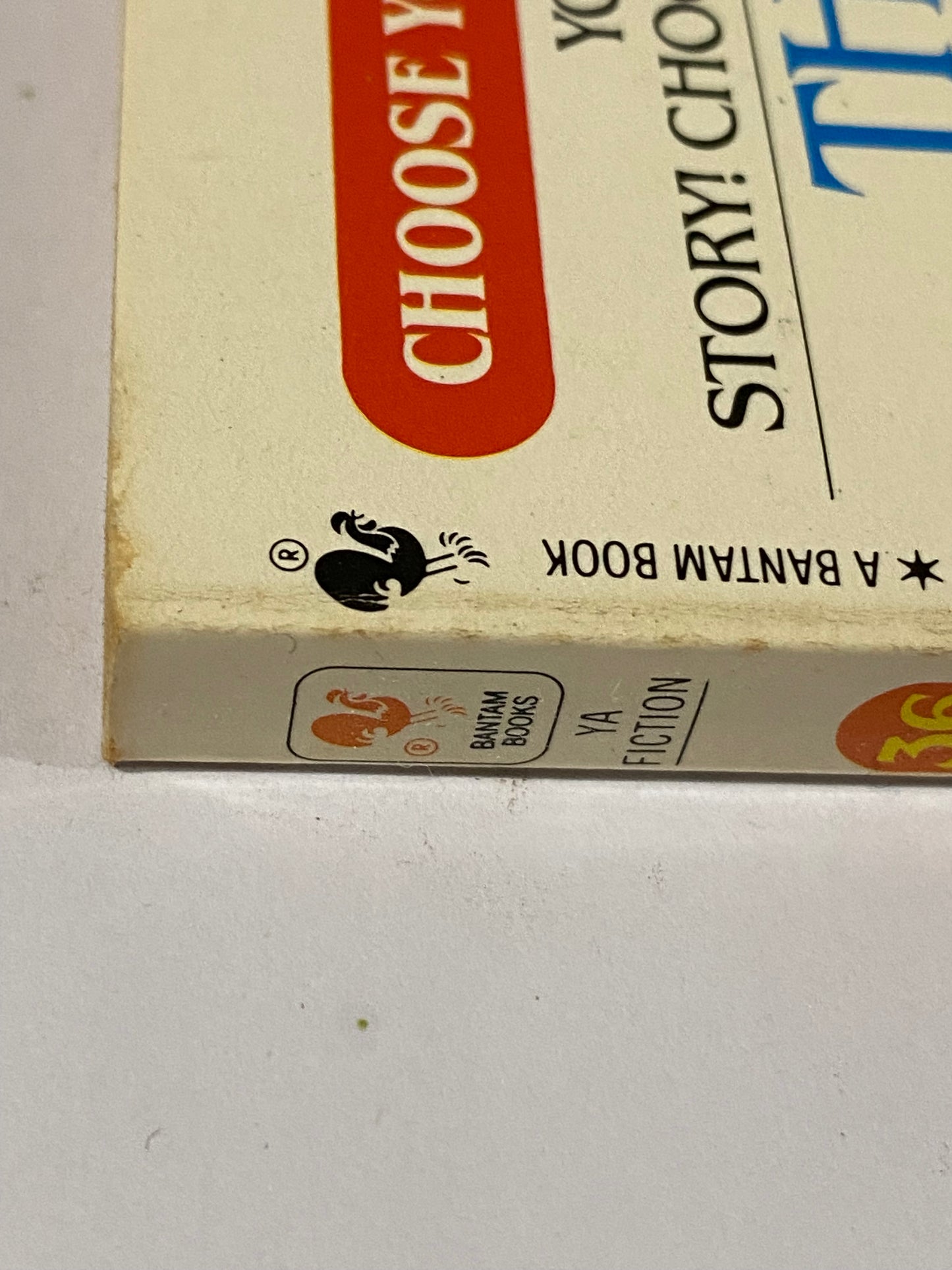 Choose Your Own Adventure 36 The Secret Treasure of Tibet Paperback 1985 VGC