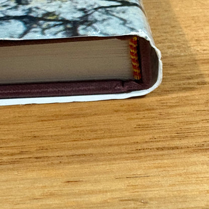 The Stepping Stone A History of the Shire of Bannockburn by Derek Beaurepaire 1995