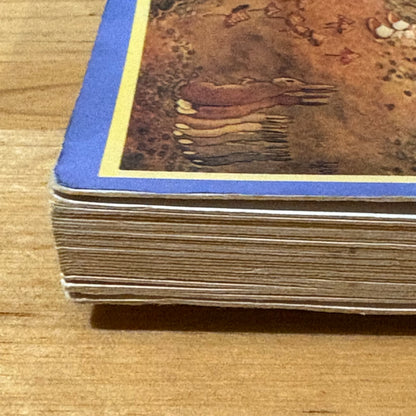 Fairy Postcard Book by Ida Rentoul Outhwaite Vintage GD