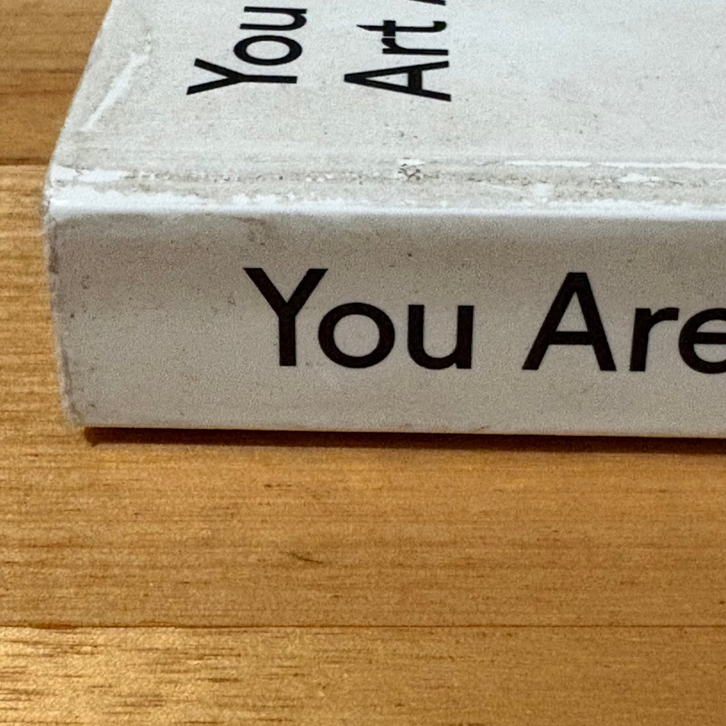 You Are Here: Art After The Internet Paperback Omar Kholeif 2014