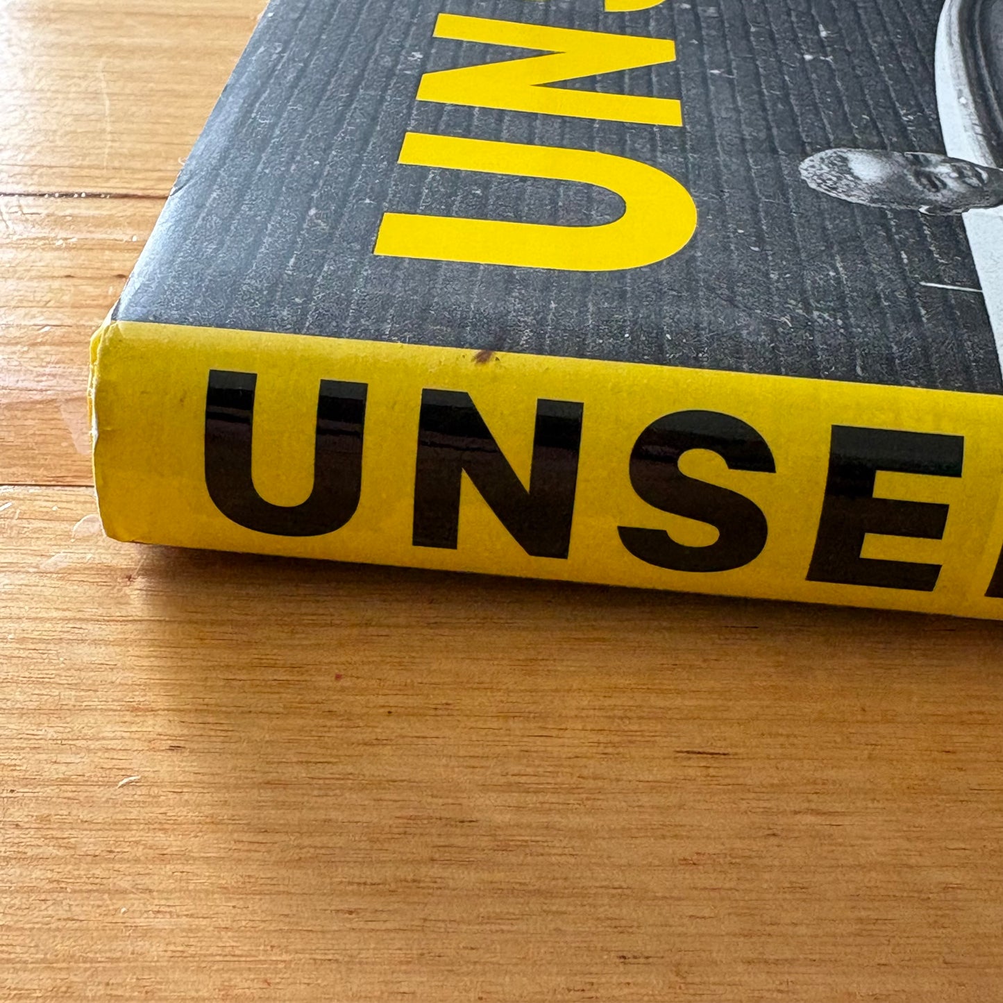 Unseen Unpublished Black History New York Times Hardcover 2017 GD