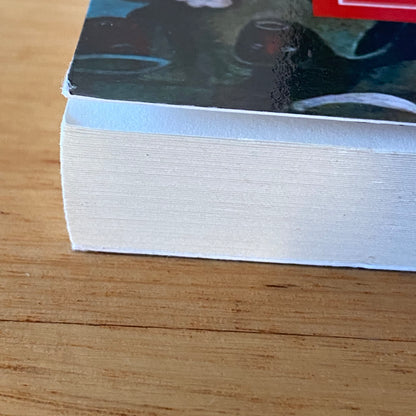 The Painter Of Lost Souls by Michael Vatikiotis Signed Paperback 2012 GD