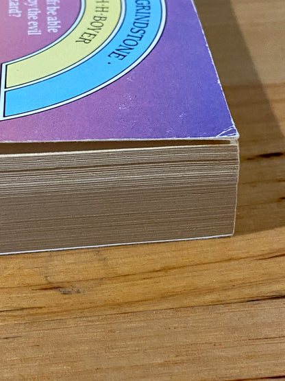 The Troll's Grindstone by Elizabeth H Boyer Paperback 1987 GD