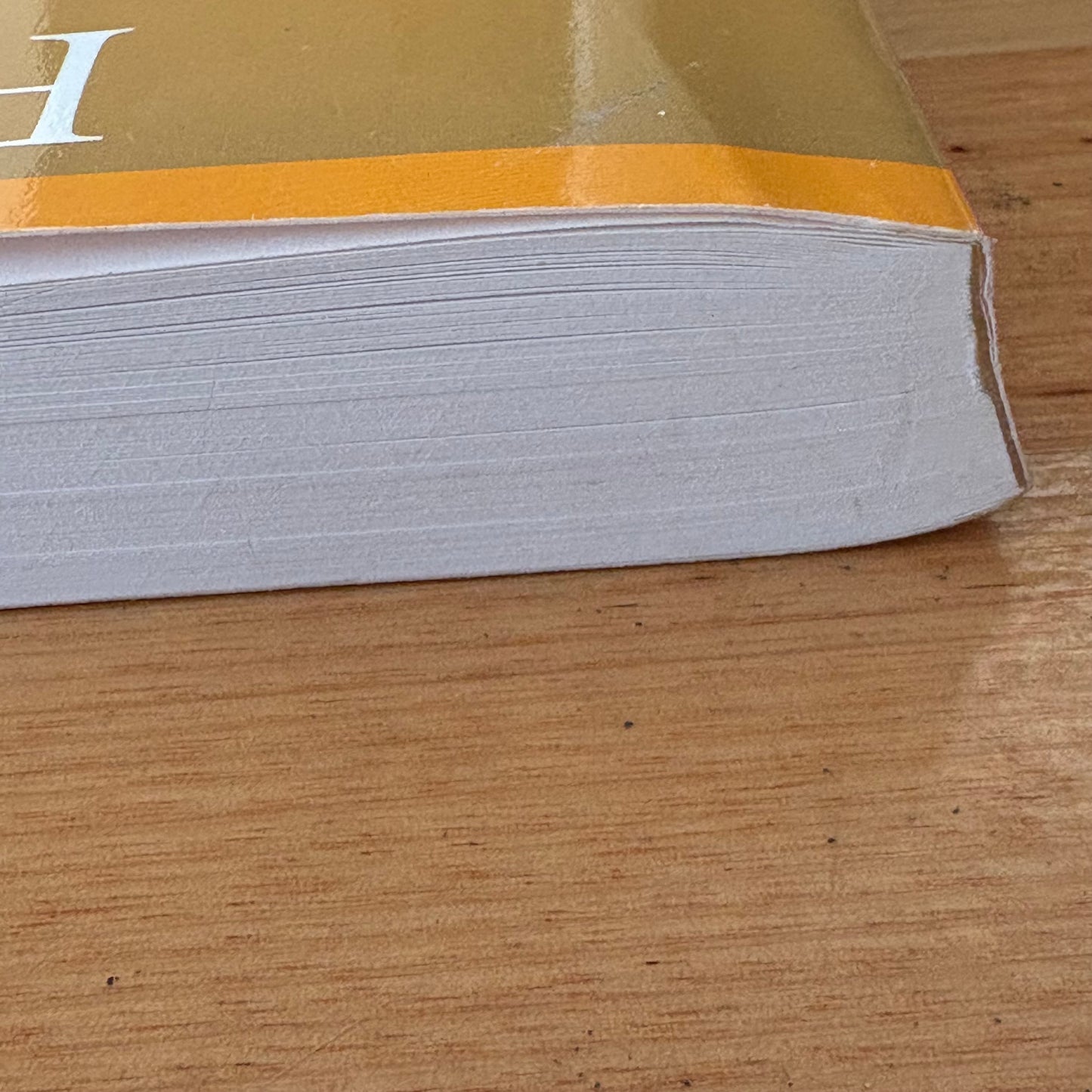 Flashing Steel Mastering Eishin-Ryu Swordmanship 2nd Edition Paperback VGC