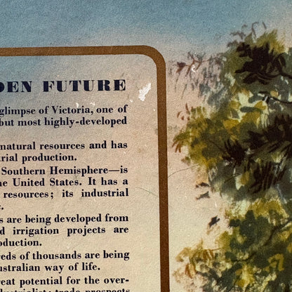 The Western Horizon of Victoria Australia VTG Western Districts Hardcover GD