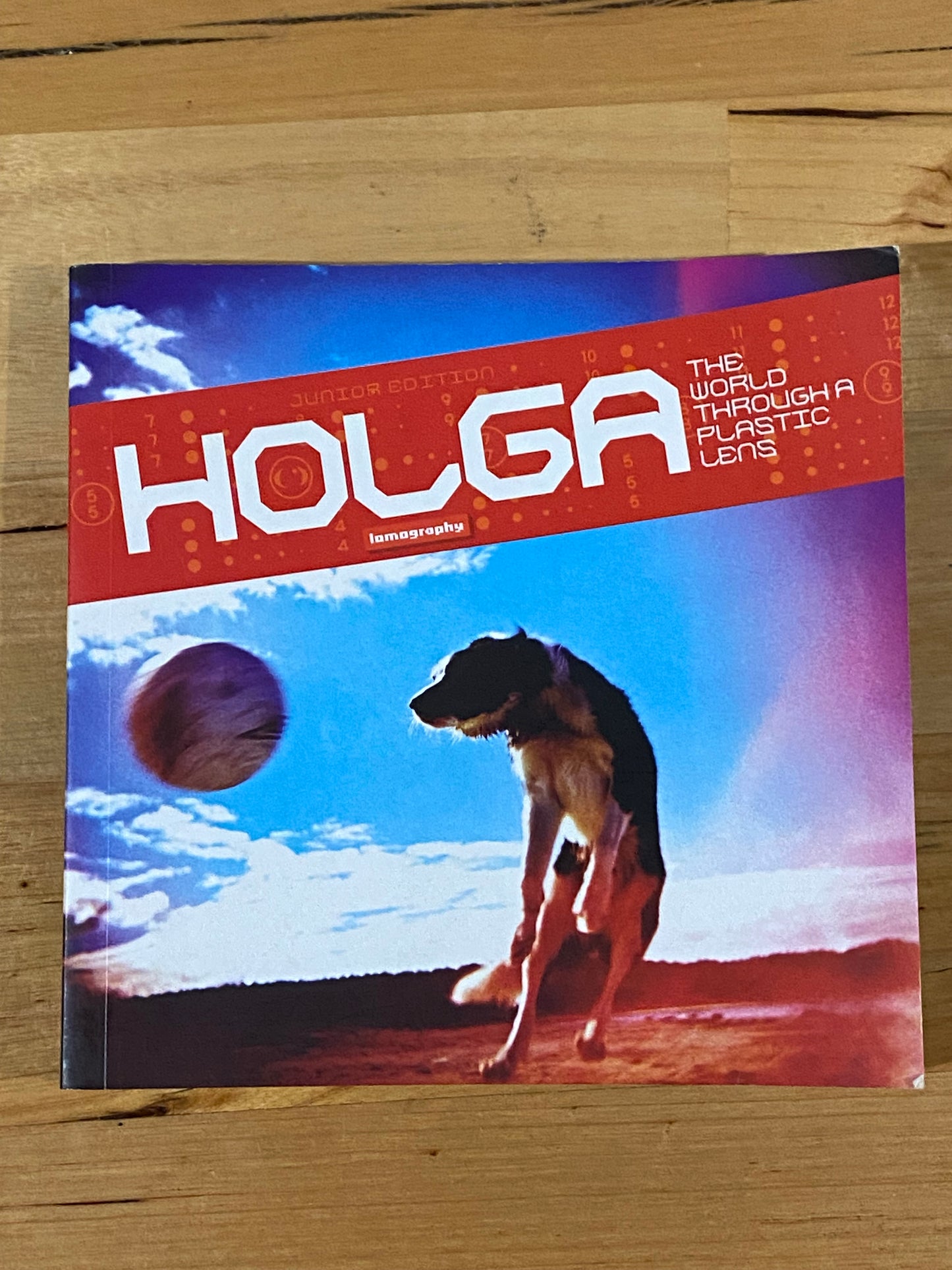 Holga The World Through A Plastic Lens Lomography Paperback 2006 GD