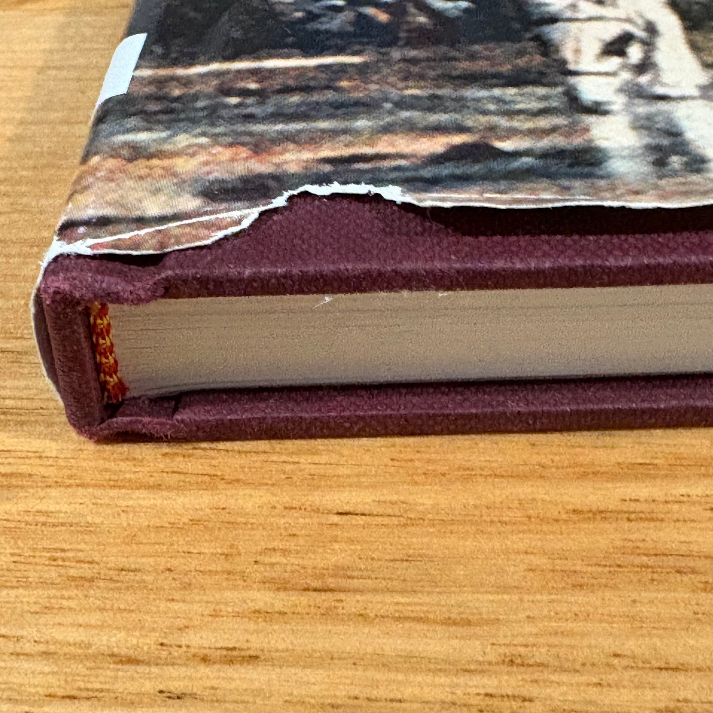 The Stepping Stone A History of the Shire of Bannockburn by Derek Beaurepaire 1995