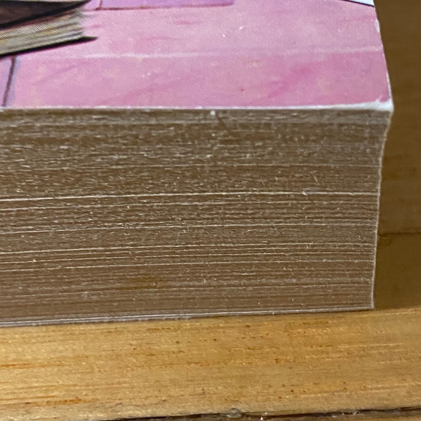 The Bishop's Heir by Katherine Kurtz Paperback 1984 GD