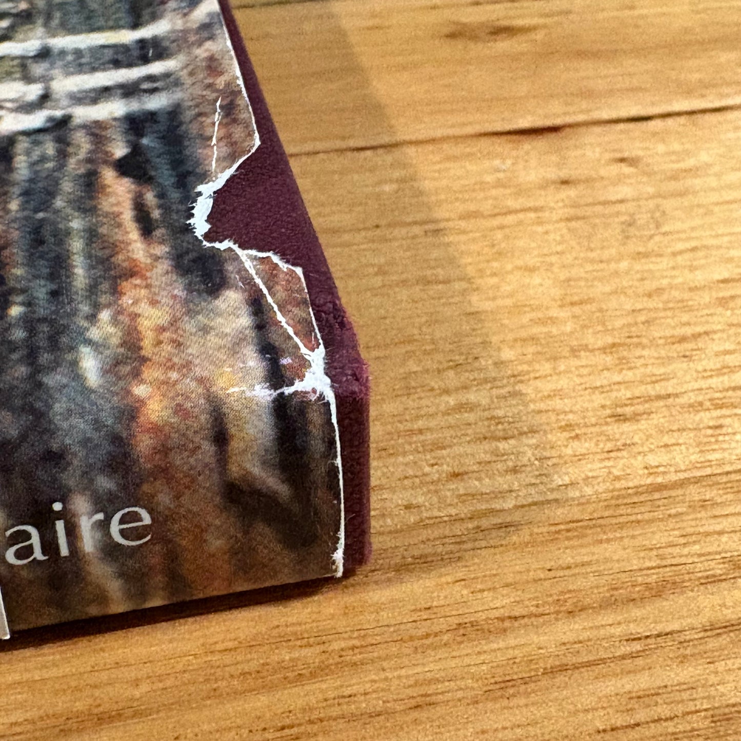 The Stepping Stone A History of the Shire of Bannockburn by Derek Beaurepaire 1995