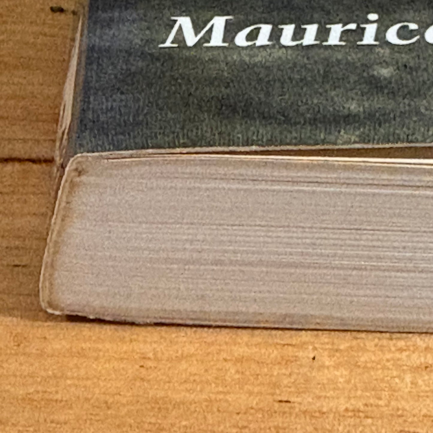 The Envelope by Maurice Wills Signed Paperback Australian Novel 1990 GD