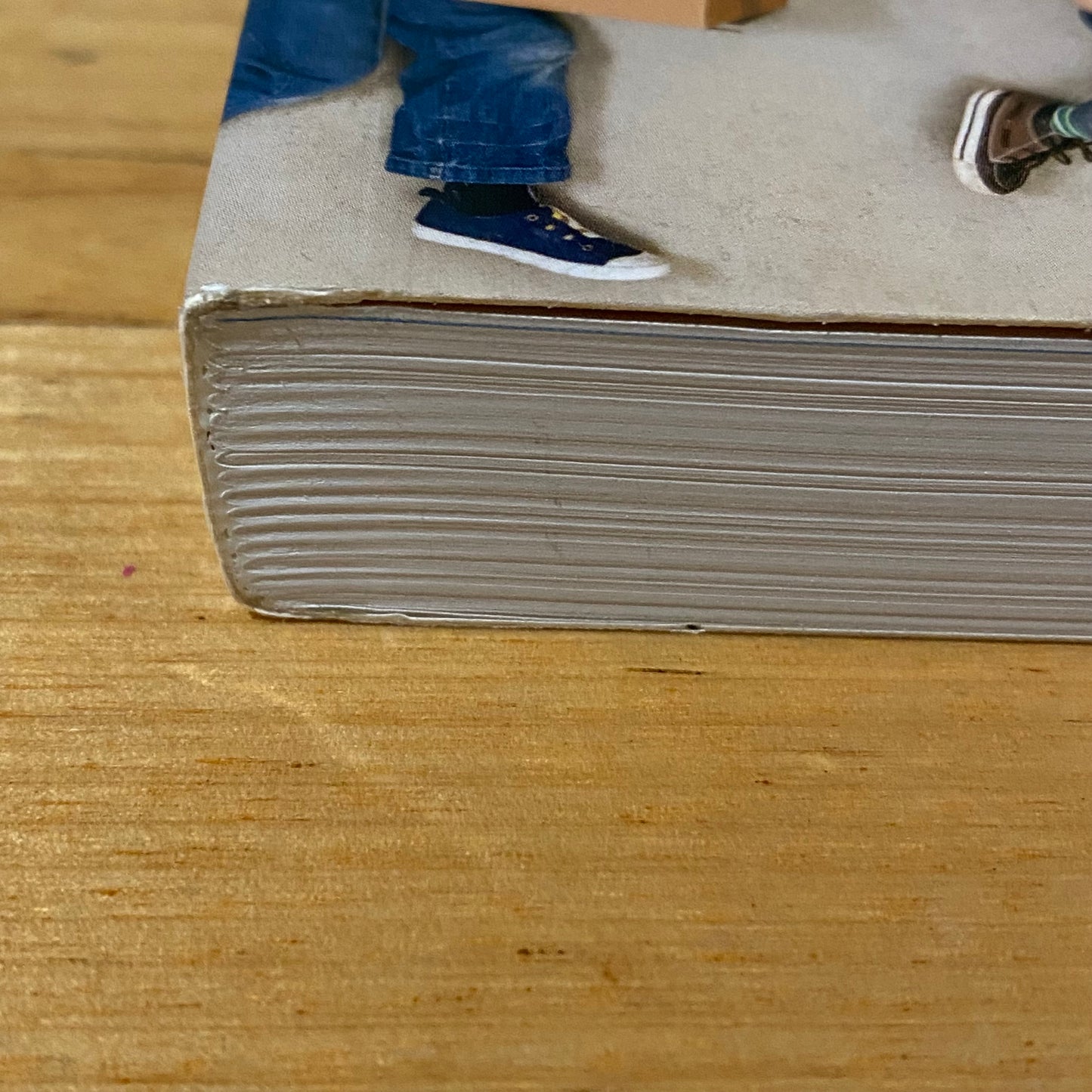 Framework for Learning & Development by Karen Kearns 4th Edition Paperback GD