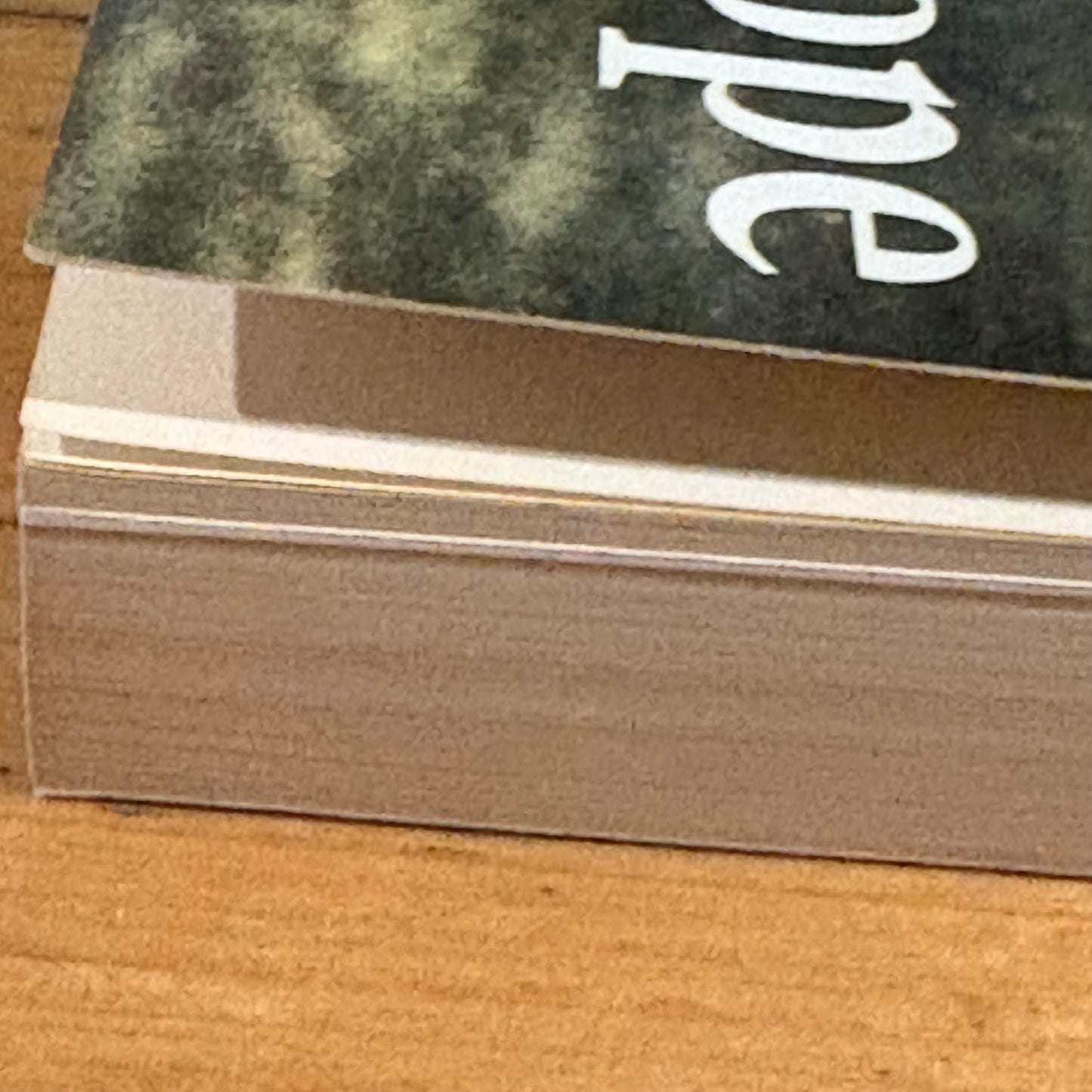 The Envelope by Maurice Wills Signed Paperback Australian Novel 1990 GD