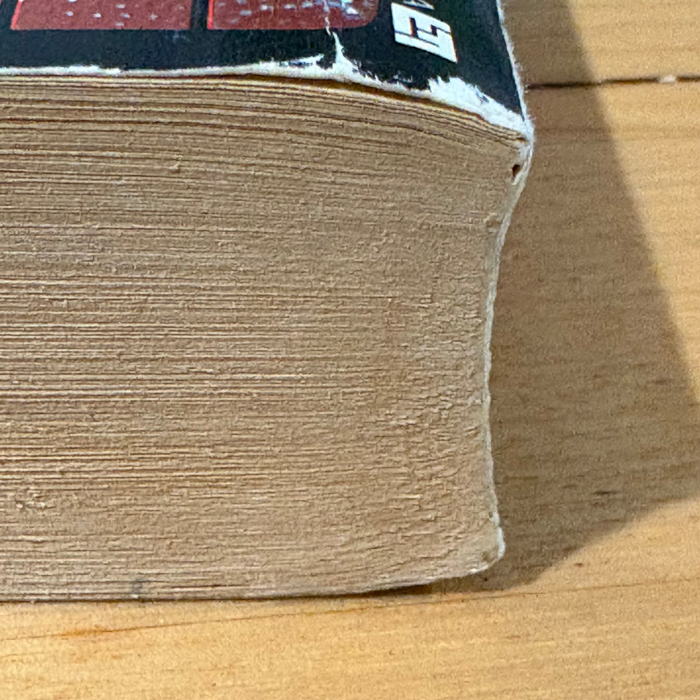 Skeleton Crew by Steven King Vintage Horror Collection Paperback 1986