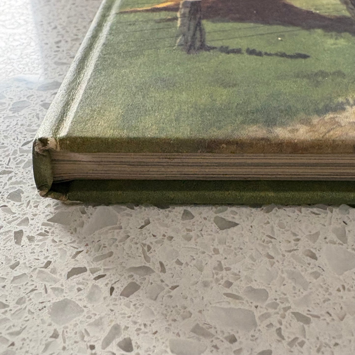 The Western Horizon of Victoria Australia VTG Western Districts Hardcover GD