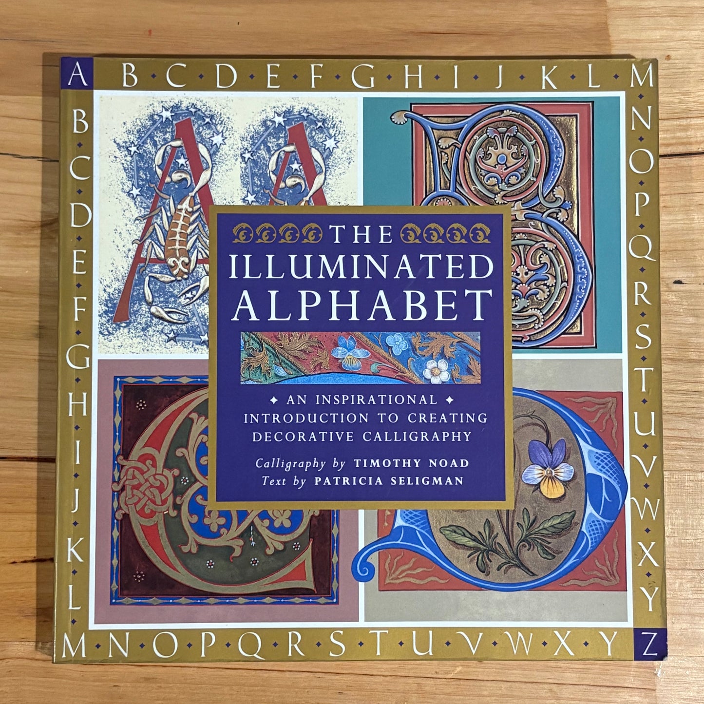 The Illuminated Alphabet by Timothy Noan Paperback Calligraphy 1994 GD
