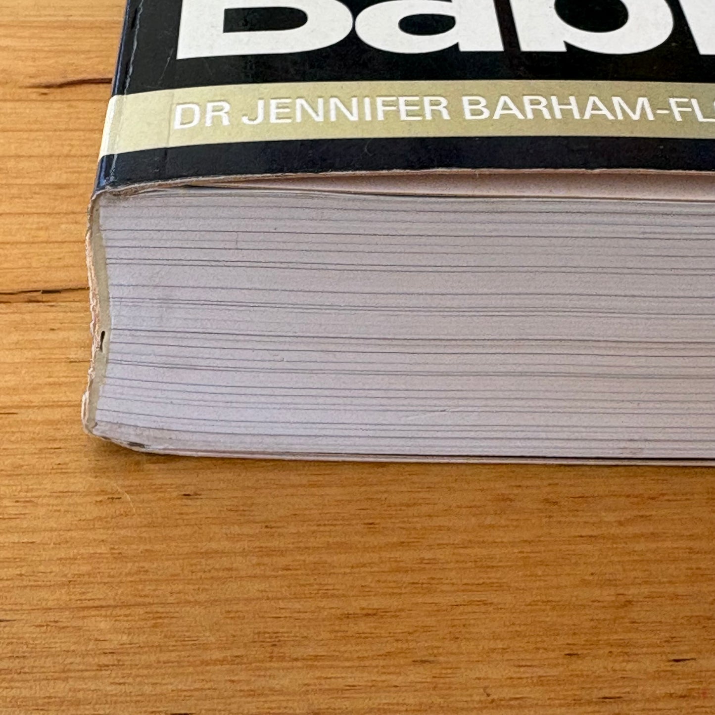 Well Adjusted Babies by Dr Jennifer Barham-Floreani Paperback 2009 GD