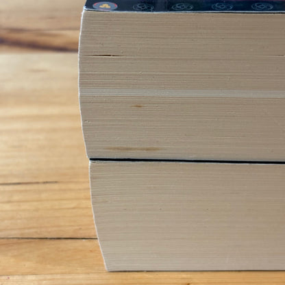 Ian Irvine The Well of Echoes 1-4 Complete Set Fantasy Paperback GD