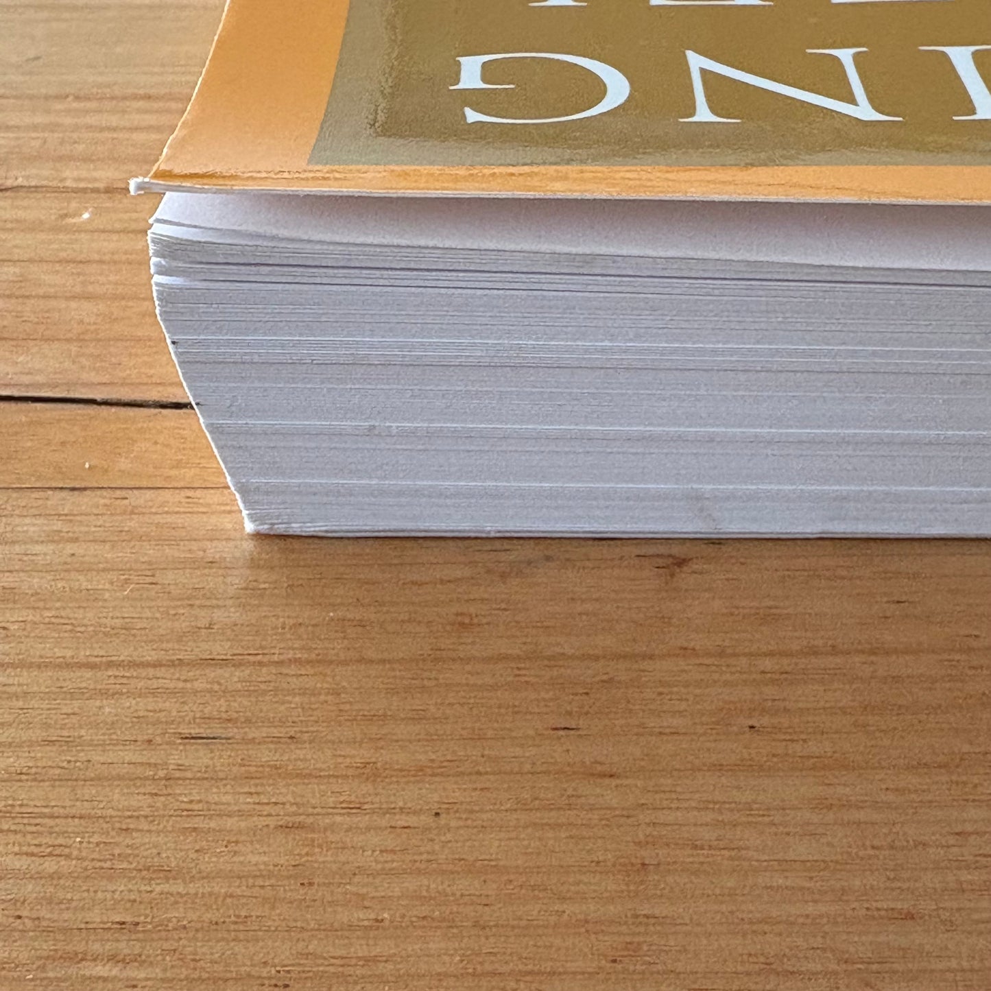 Flashing Steel Mastering Eishin-Ryu Swordmanship 2nd Edition Paperback VGC