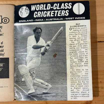 Commando War Comic #679 The Raiders 1972