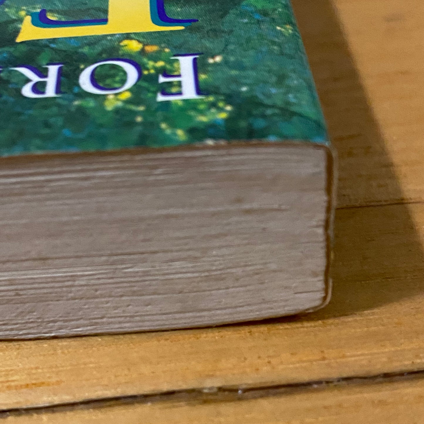 Fasting For Spiritual Breakthrough by Elmer L. Towns Paperback 1996 GD